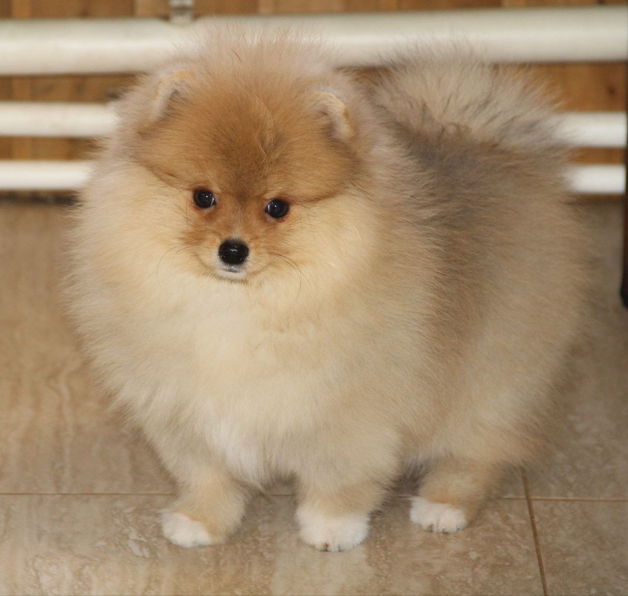 IMG_20250304_161944_572