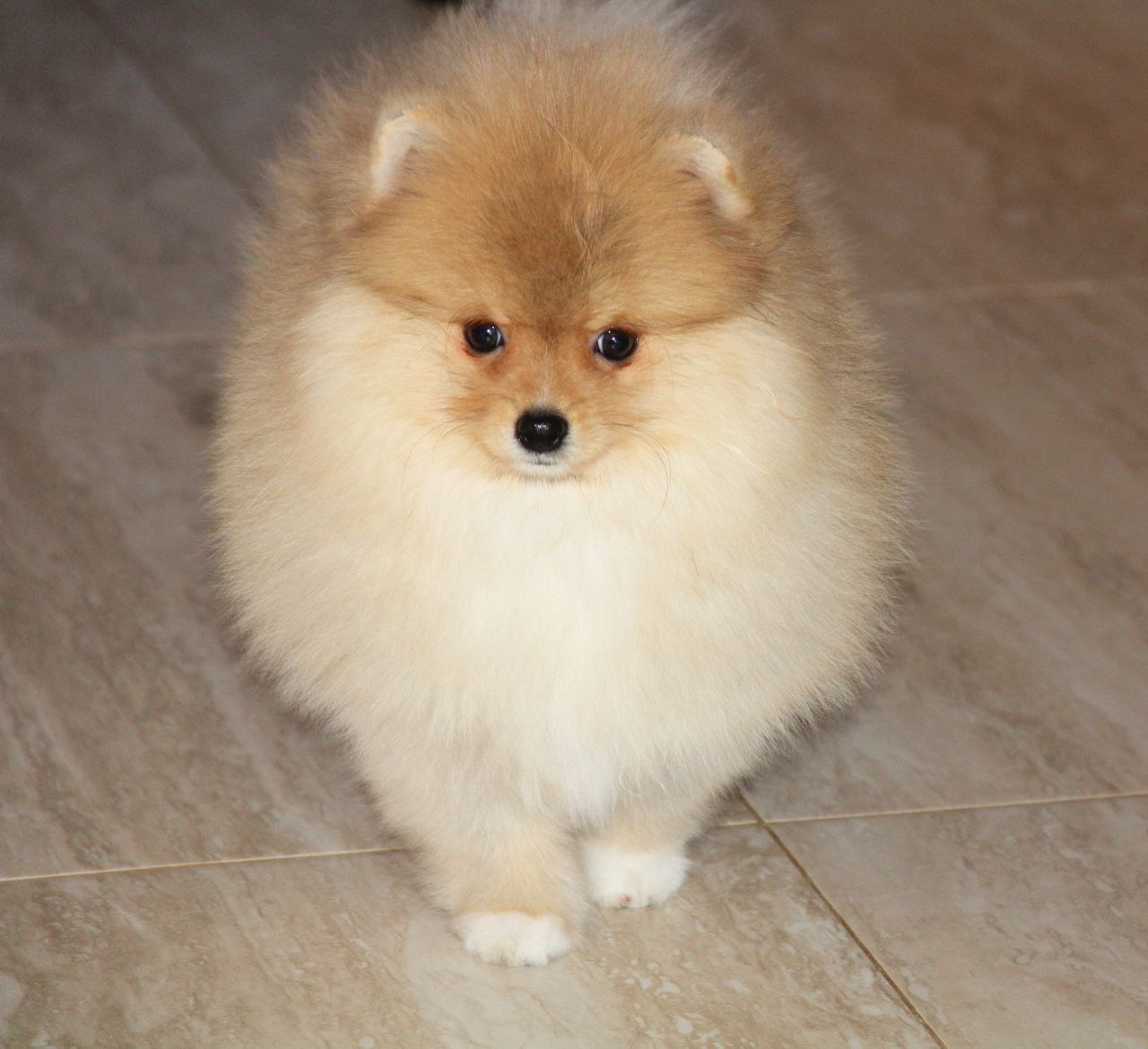 IMG_20250304_161944_753