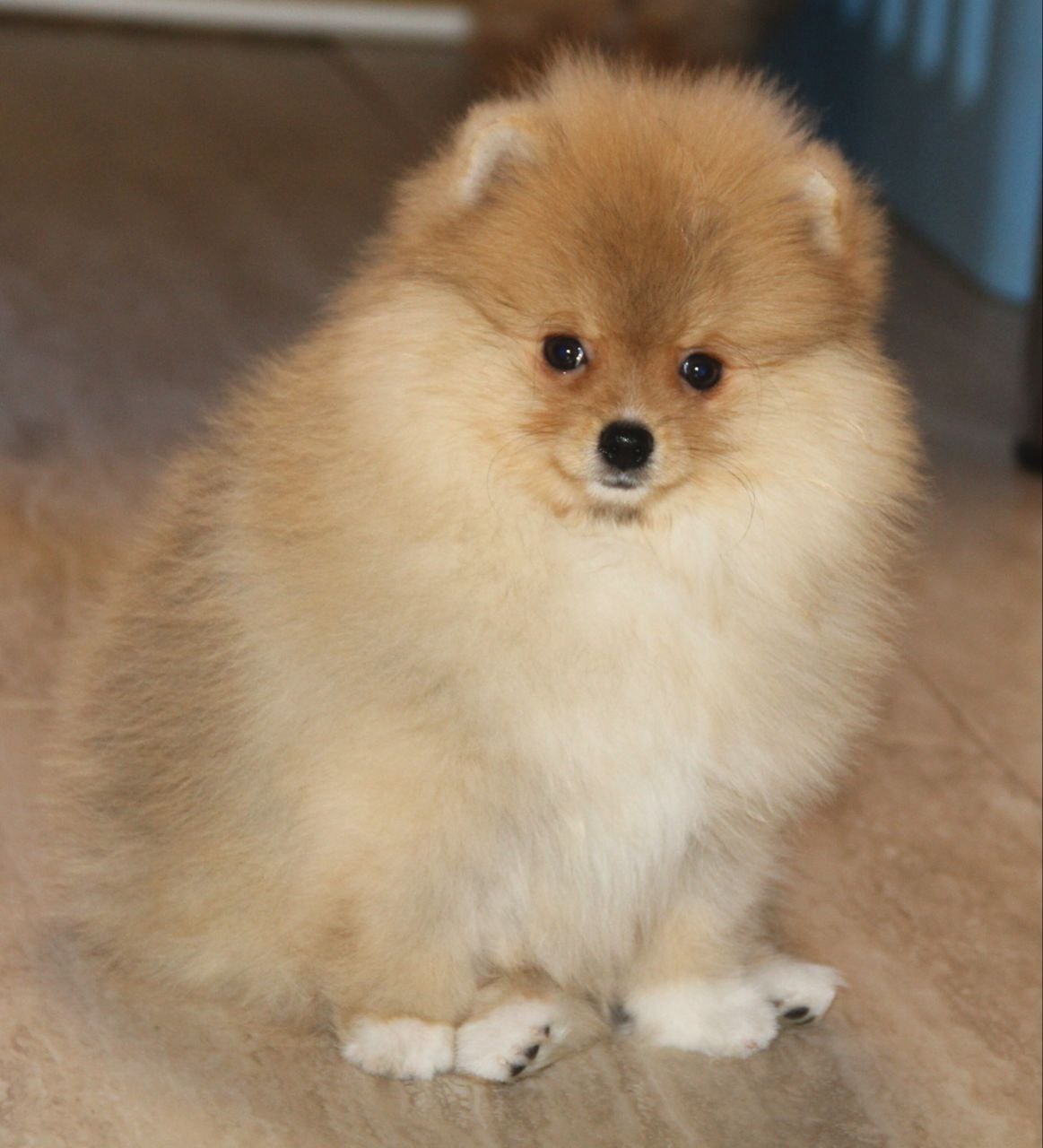 IMG_20250304_161944_849