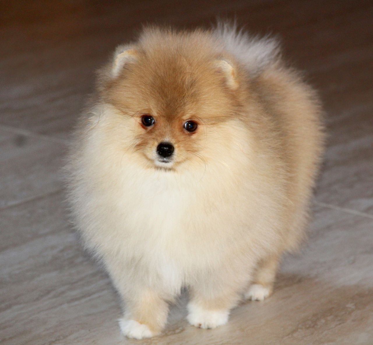 IMG_20250304_161944_943