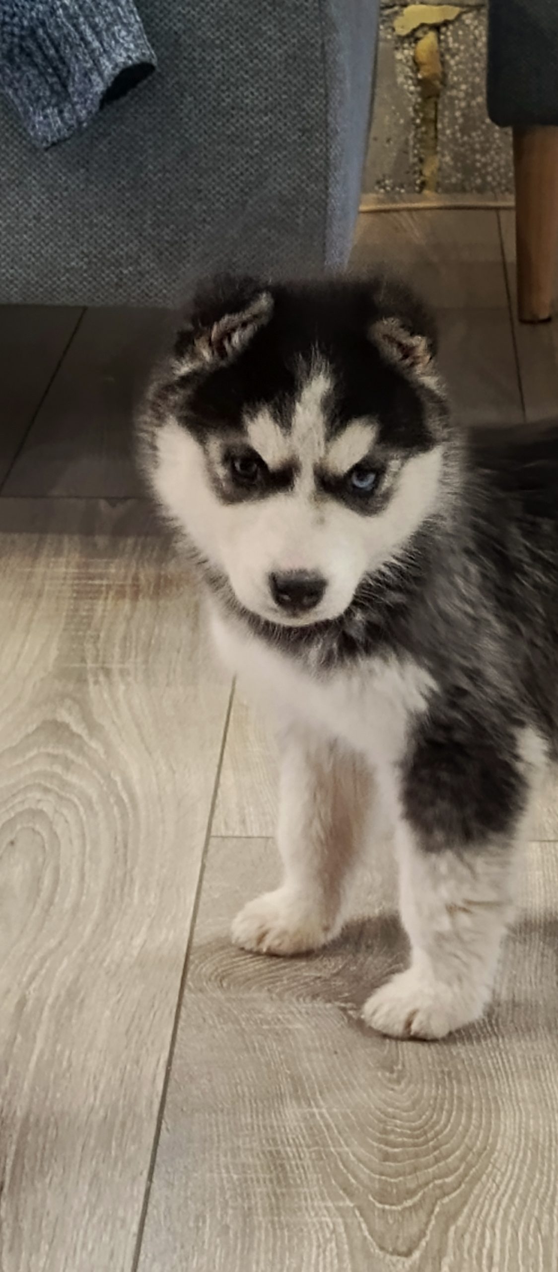 IMG_20250316_135734_899