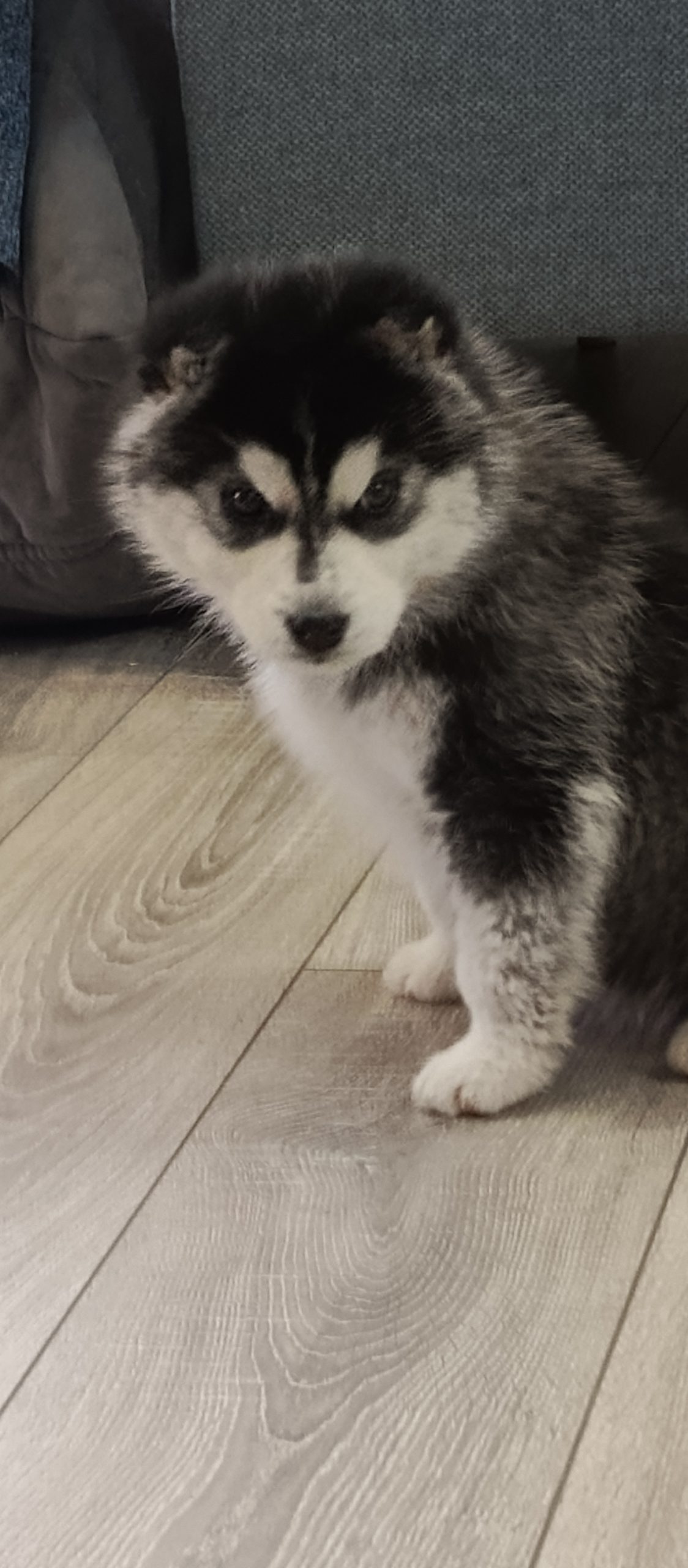 IMG_20250316_135755_832