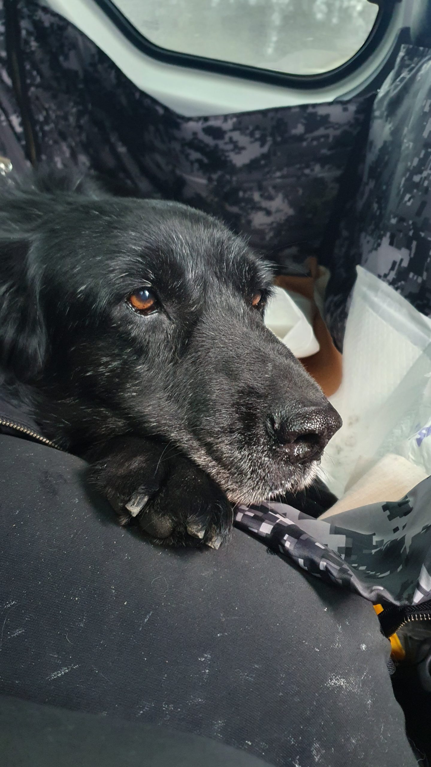 InShot_20250217_184129211