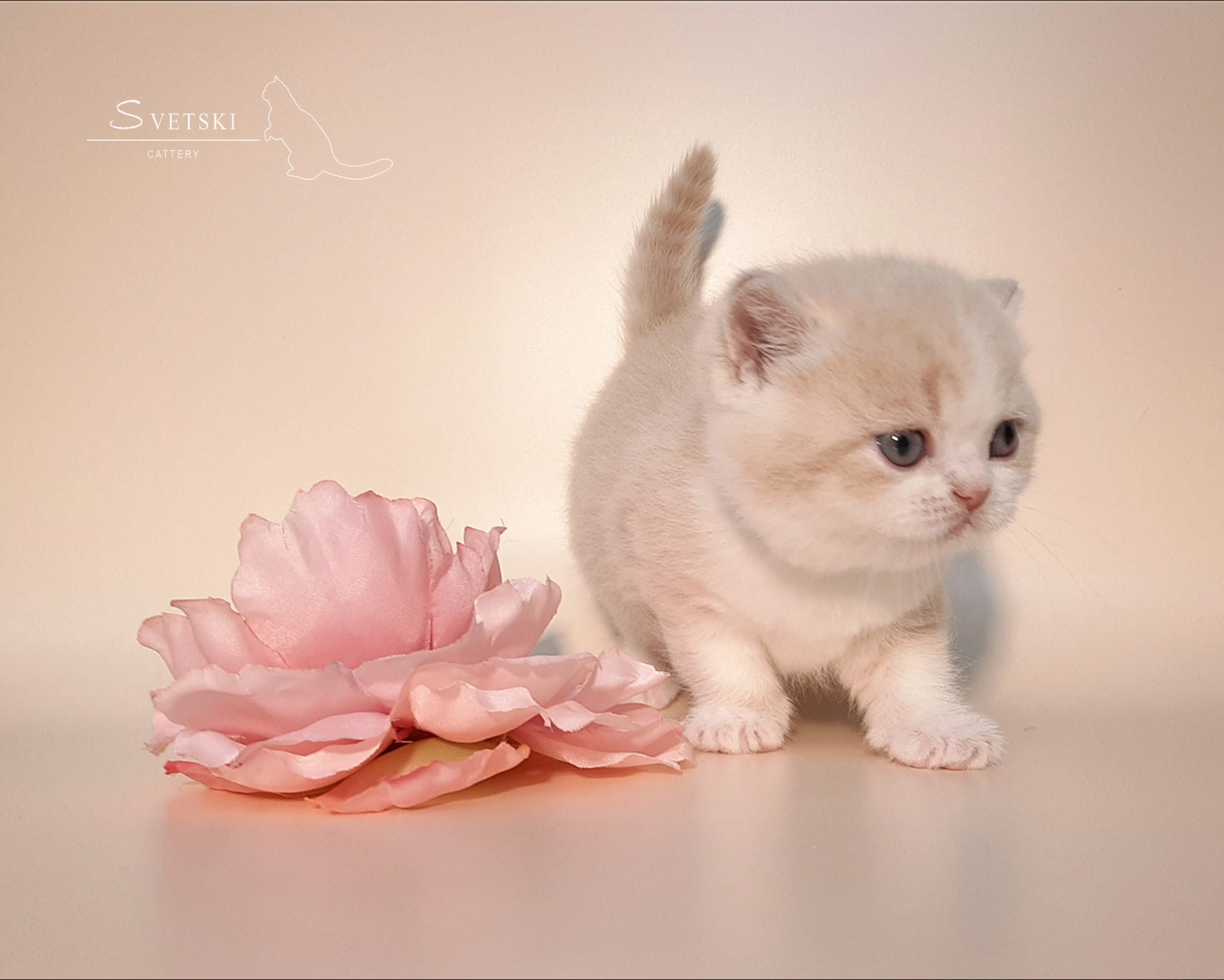 Polish_20250225_194913637