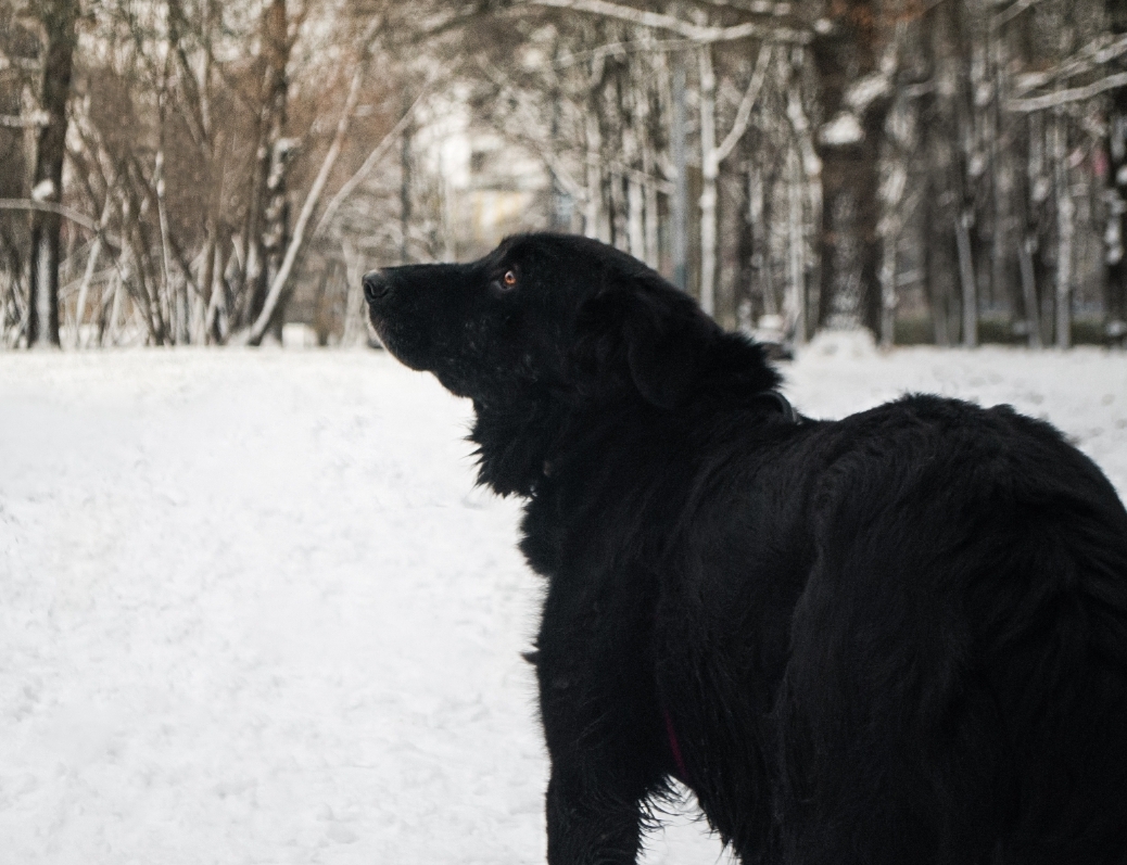 Screenshot_20250324_204127_Gallery