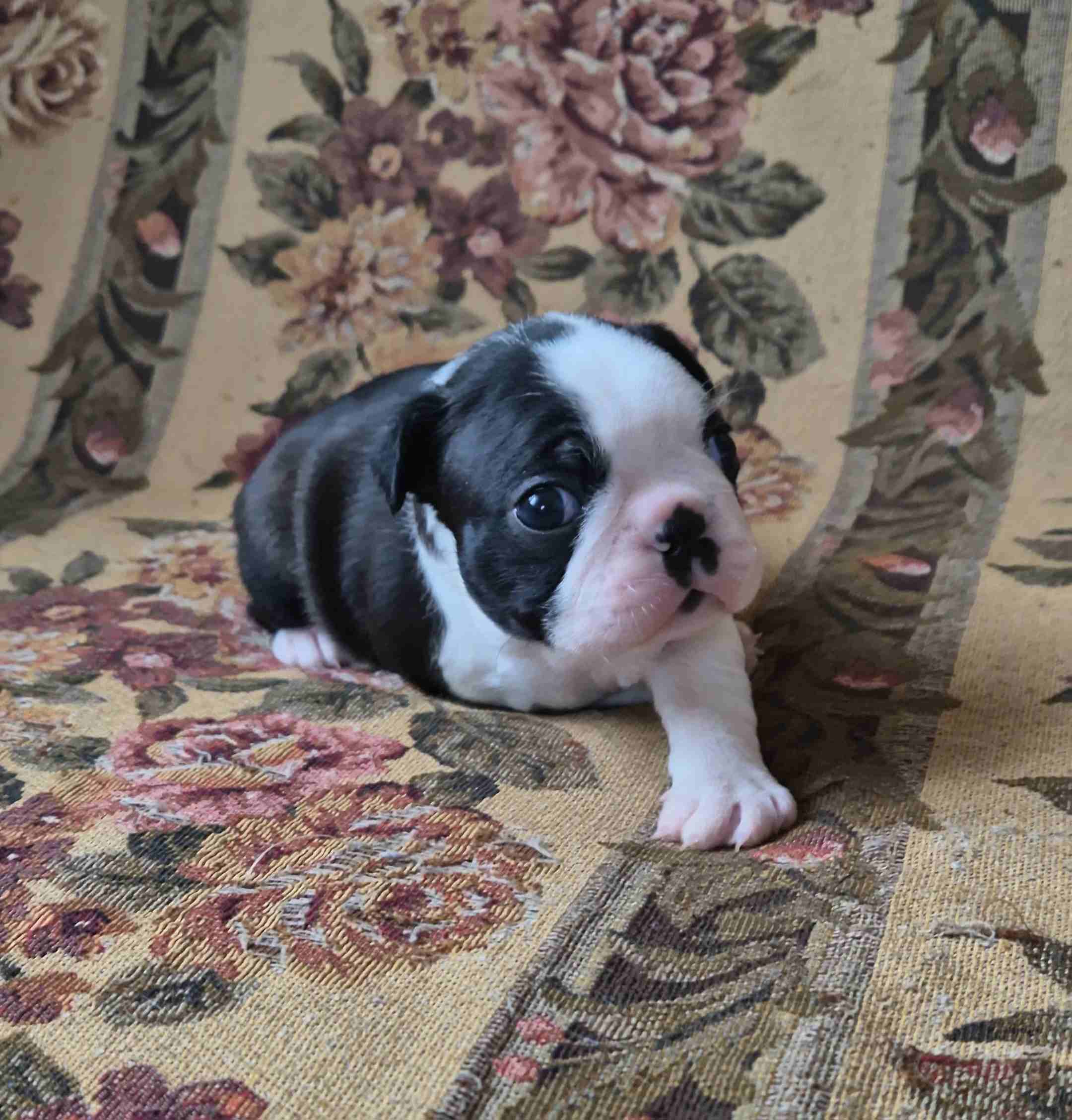 VideoCapture_20250311-210519