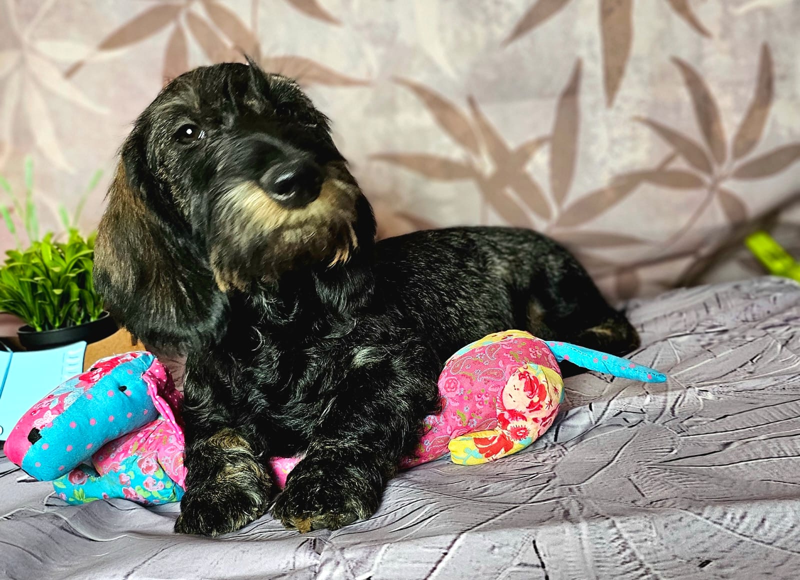 WhatsApp-Image-2025-03-27-at-16.58.19-1