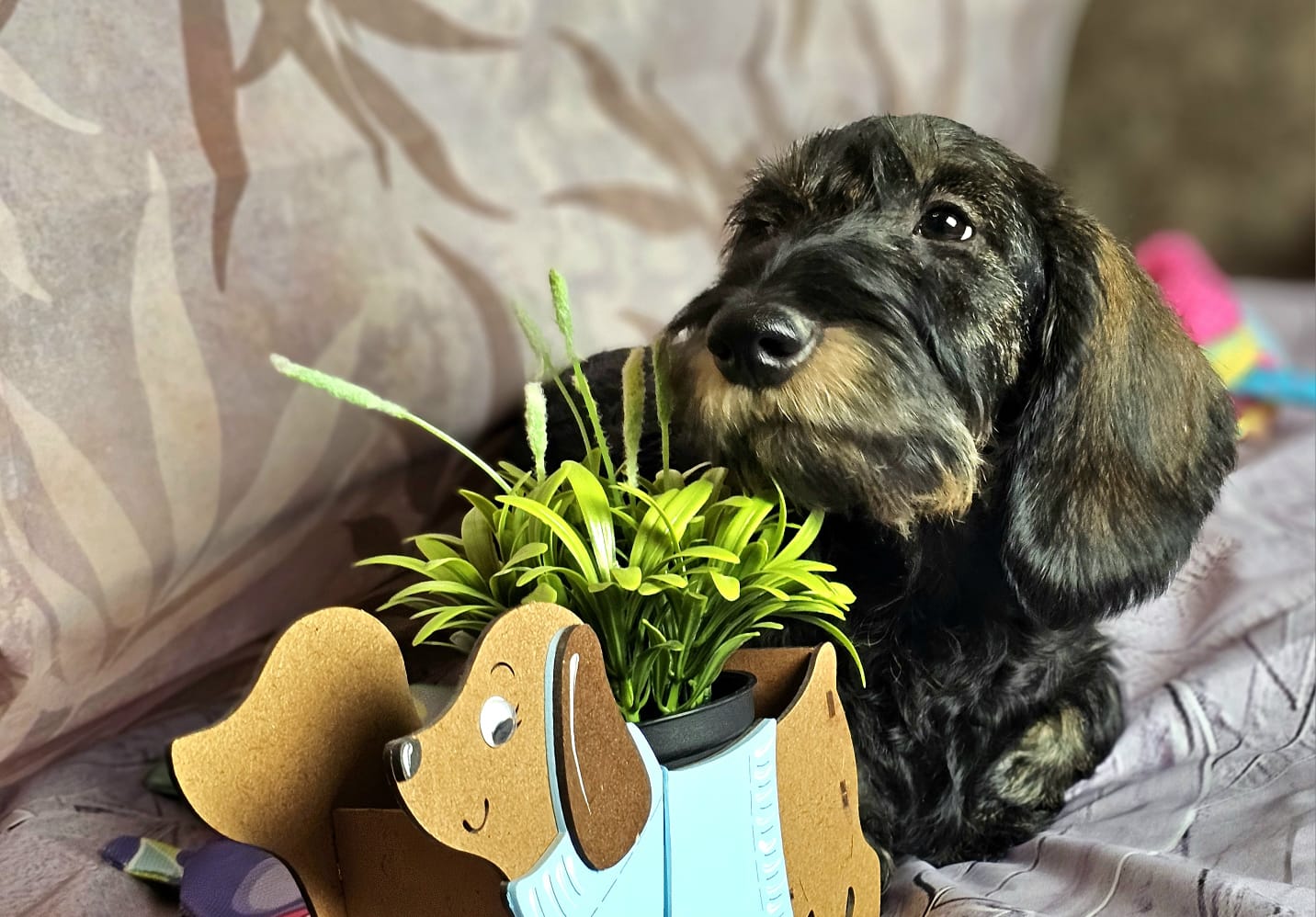 WhatsApp-Image-2025-03-27-at-16.58.20