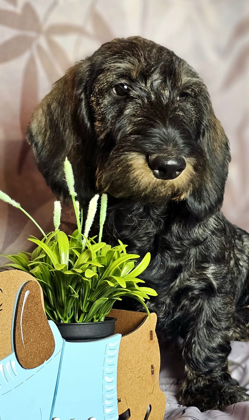 WhatsApp-Image-2025-03-27-at-16.58.21