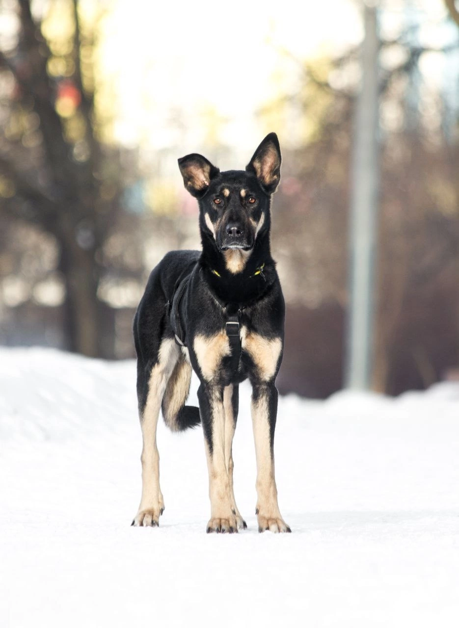 oJmEXJJfYtI_wjbKgwFSiwFTjlmllg_x6Ot1XZP40xVrOaF_2czEI0L8hj4ZtjzieT4wwPyXGqYs-Yq_3sc0pKy-