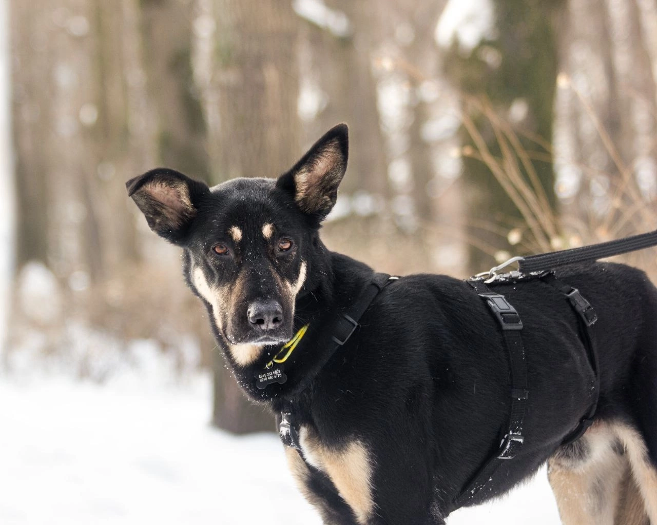 pJnSXQre6Ka5dzfR9OkislpSTo3m-61fqbU-ydjjJO7G3Vmm_mkTc1pzzbvVzYGkJ9MSUeHH7csoK5ZozrrKtZFP