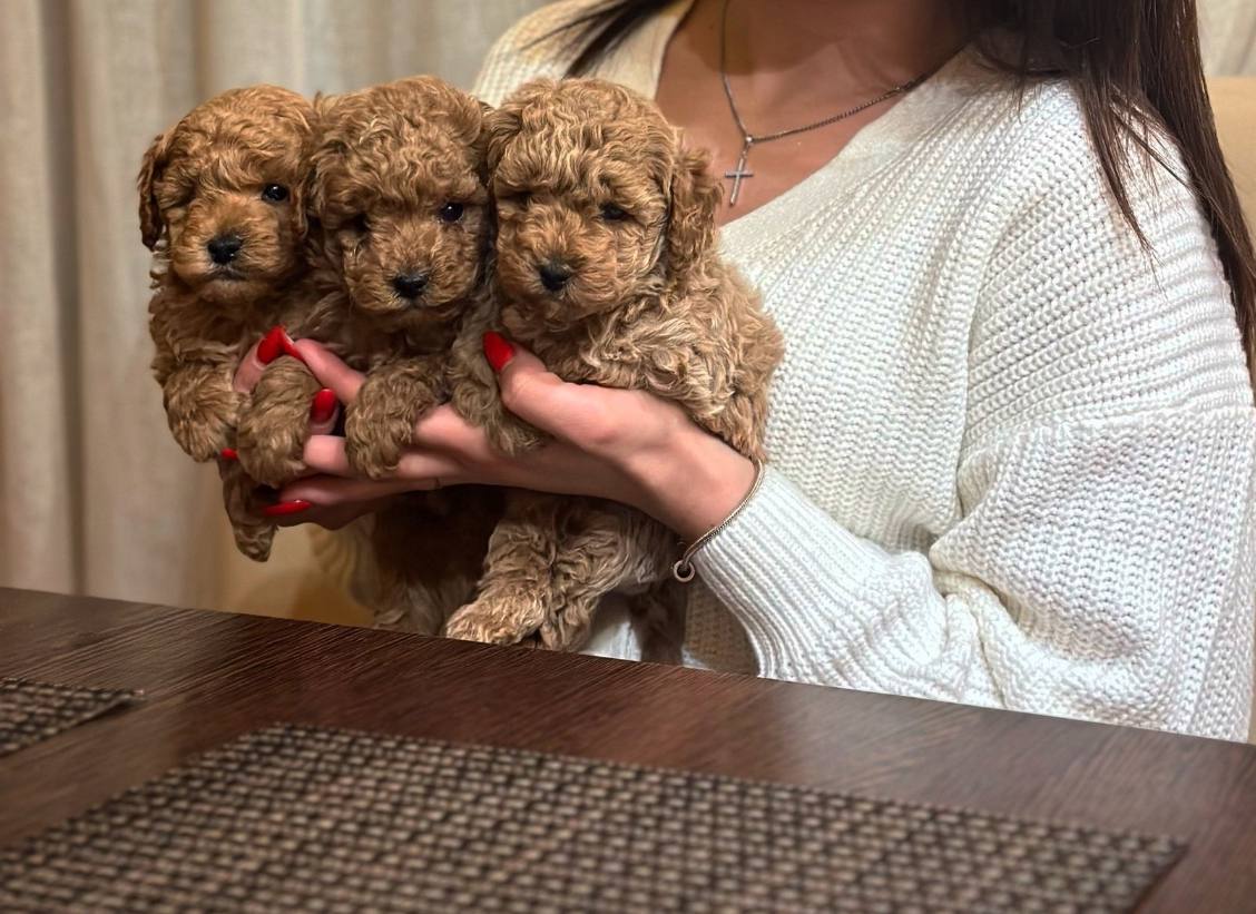 photo_2024-10-04_11-25-58