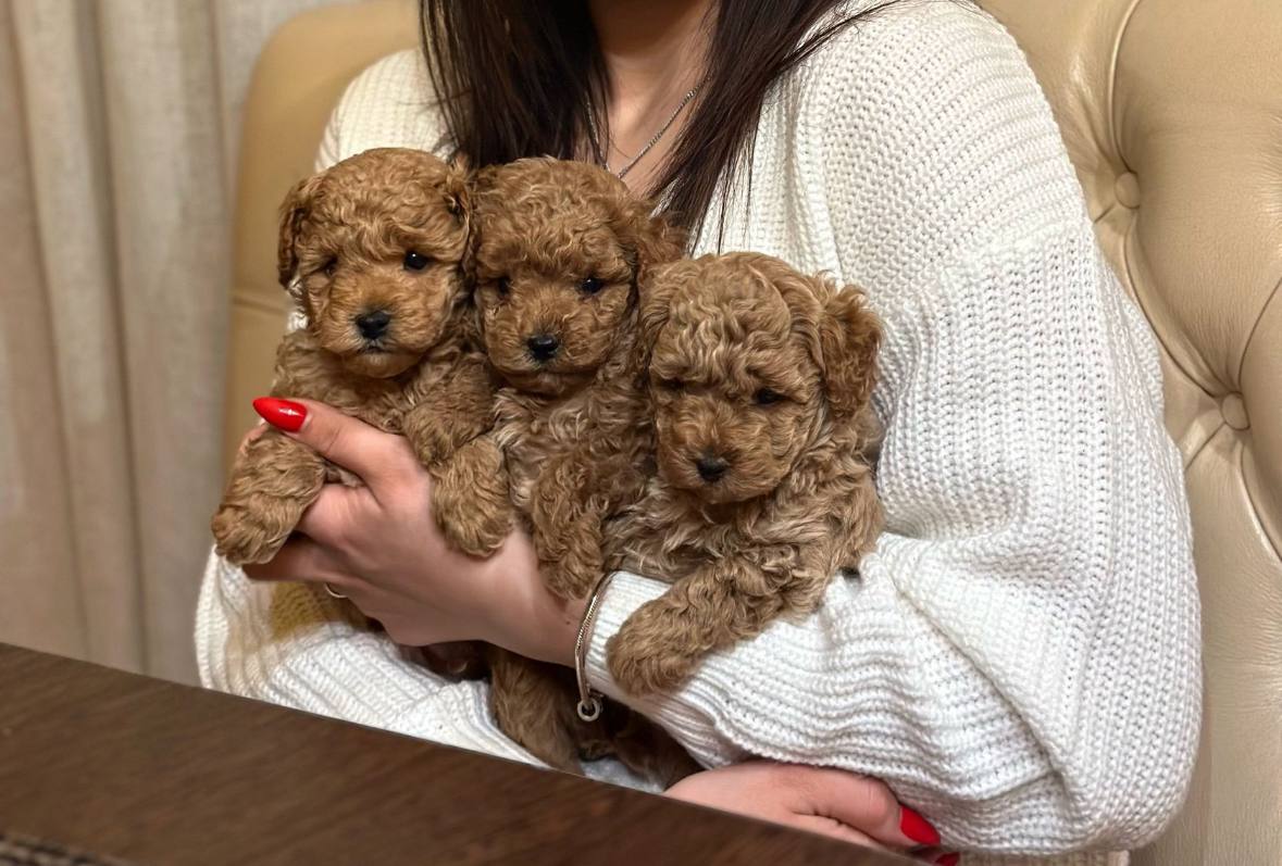 photo_2024-10-04_11-26-07