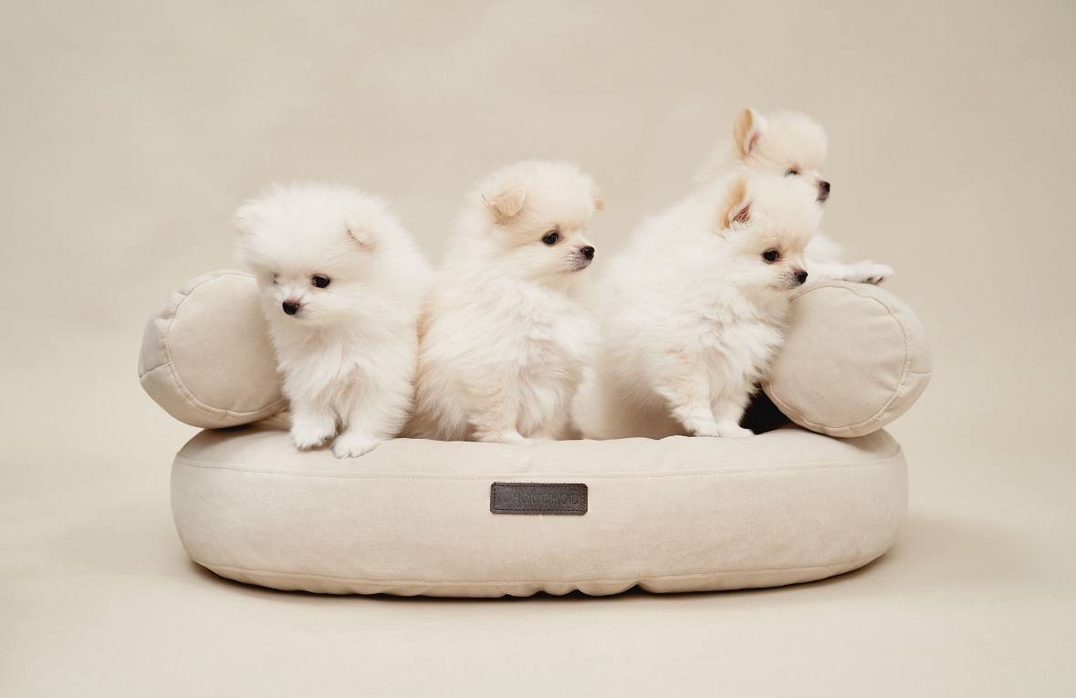 photo_2024-11-10_23-39-14