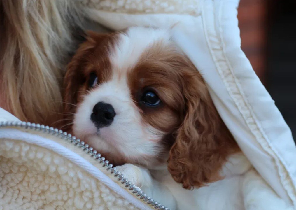 photo_2025-03-20_11-25-19-2-2