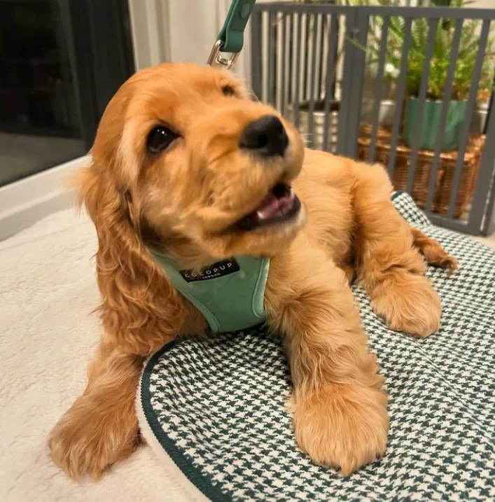 photo_2025-03-20_11-25-20-1