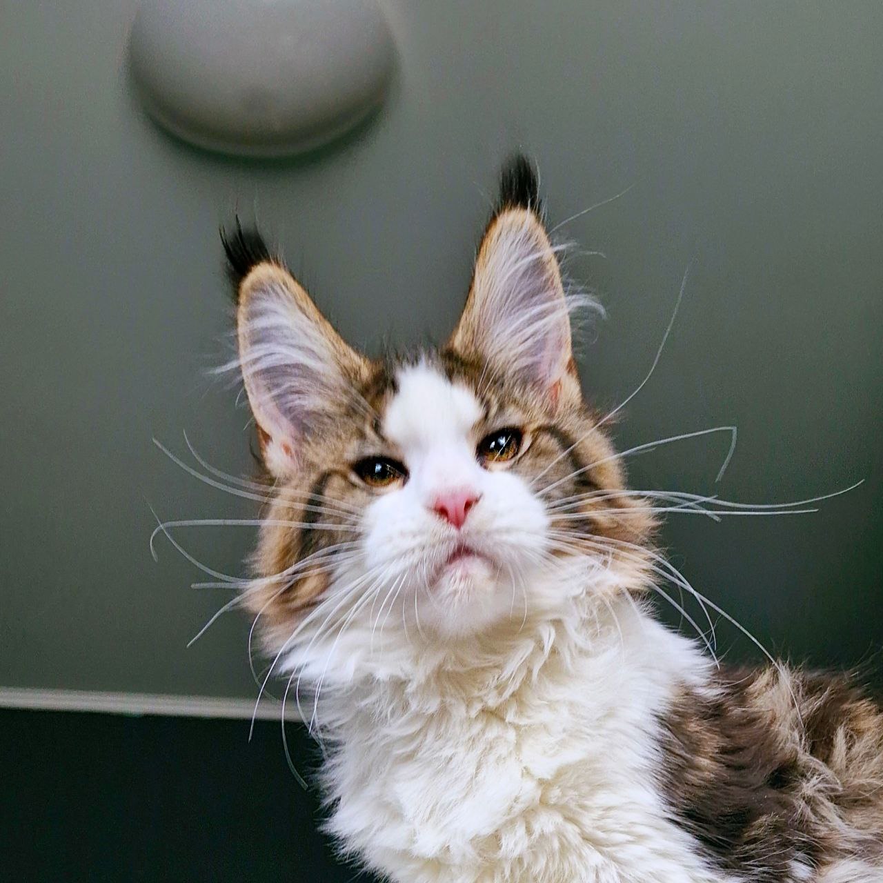 photo_5348560758855821395_y