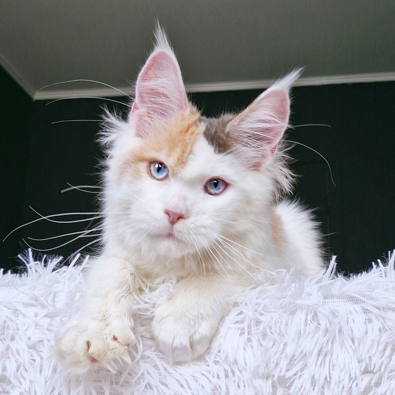 photo_5386442950227125988_y