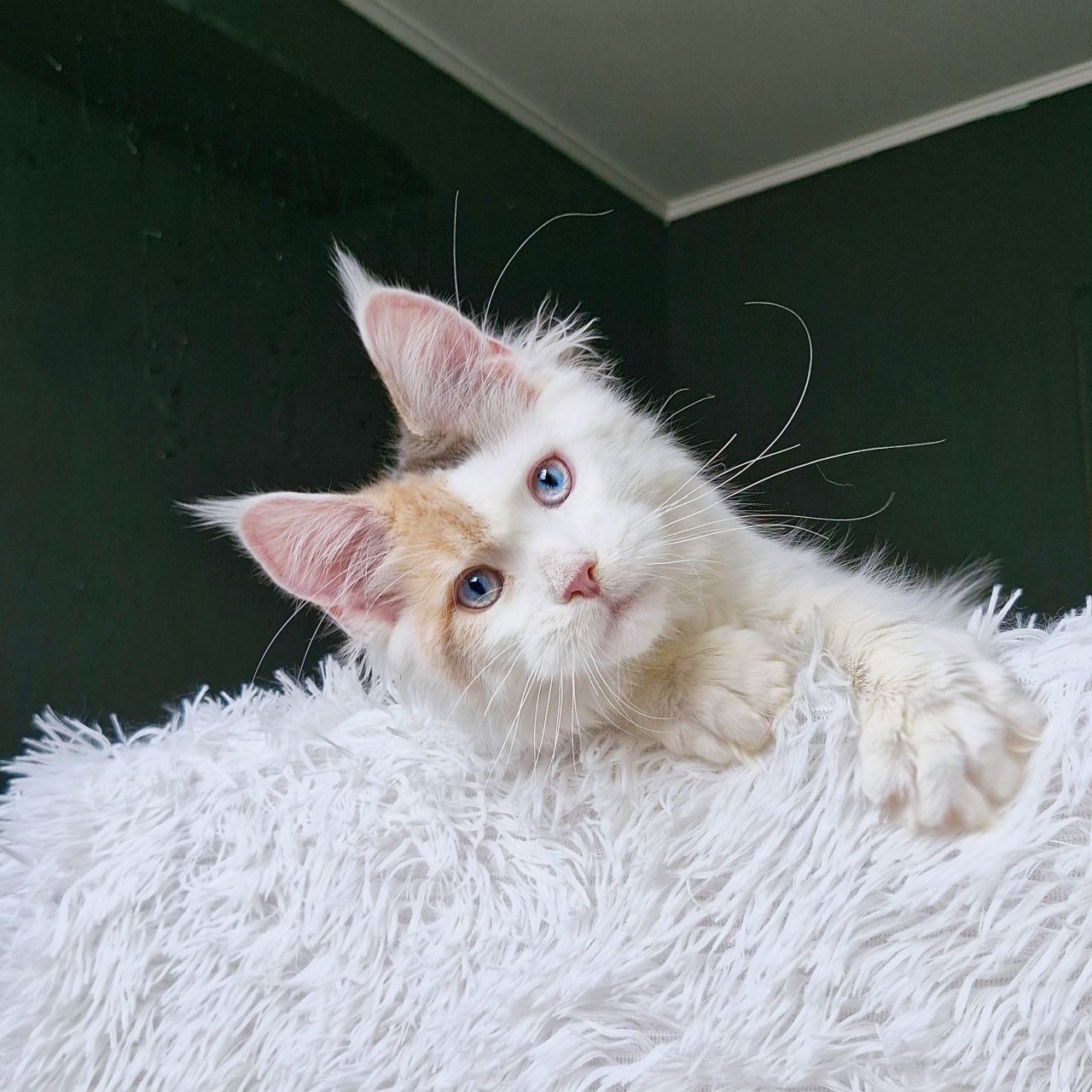 photo_5386442950227126016_y