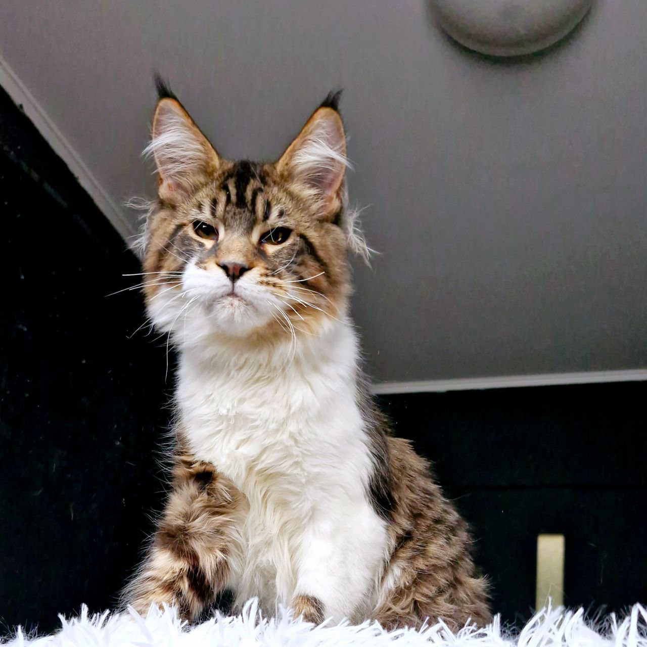 photo_5386442950227126093_y