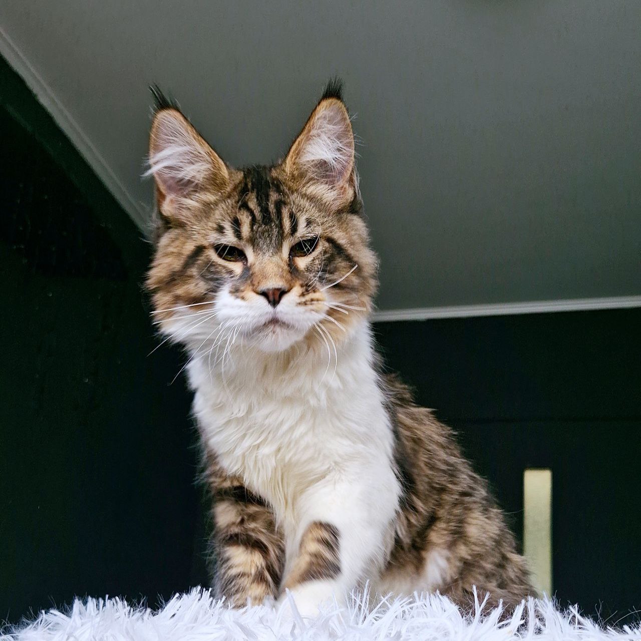 photo_5386442950227126101_y