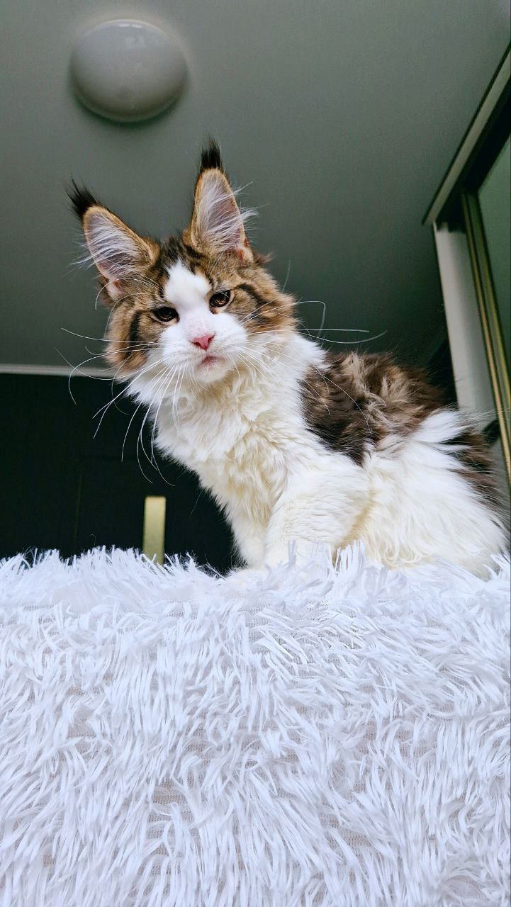 photo_5420504295742237388_y