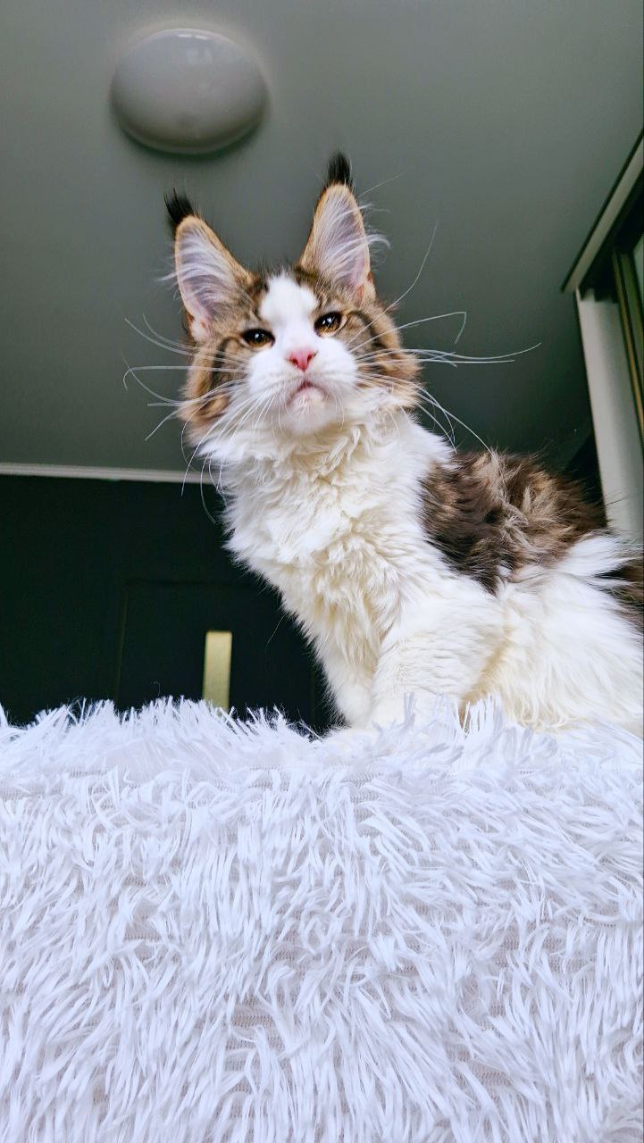 photo_5420504295742237390_y