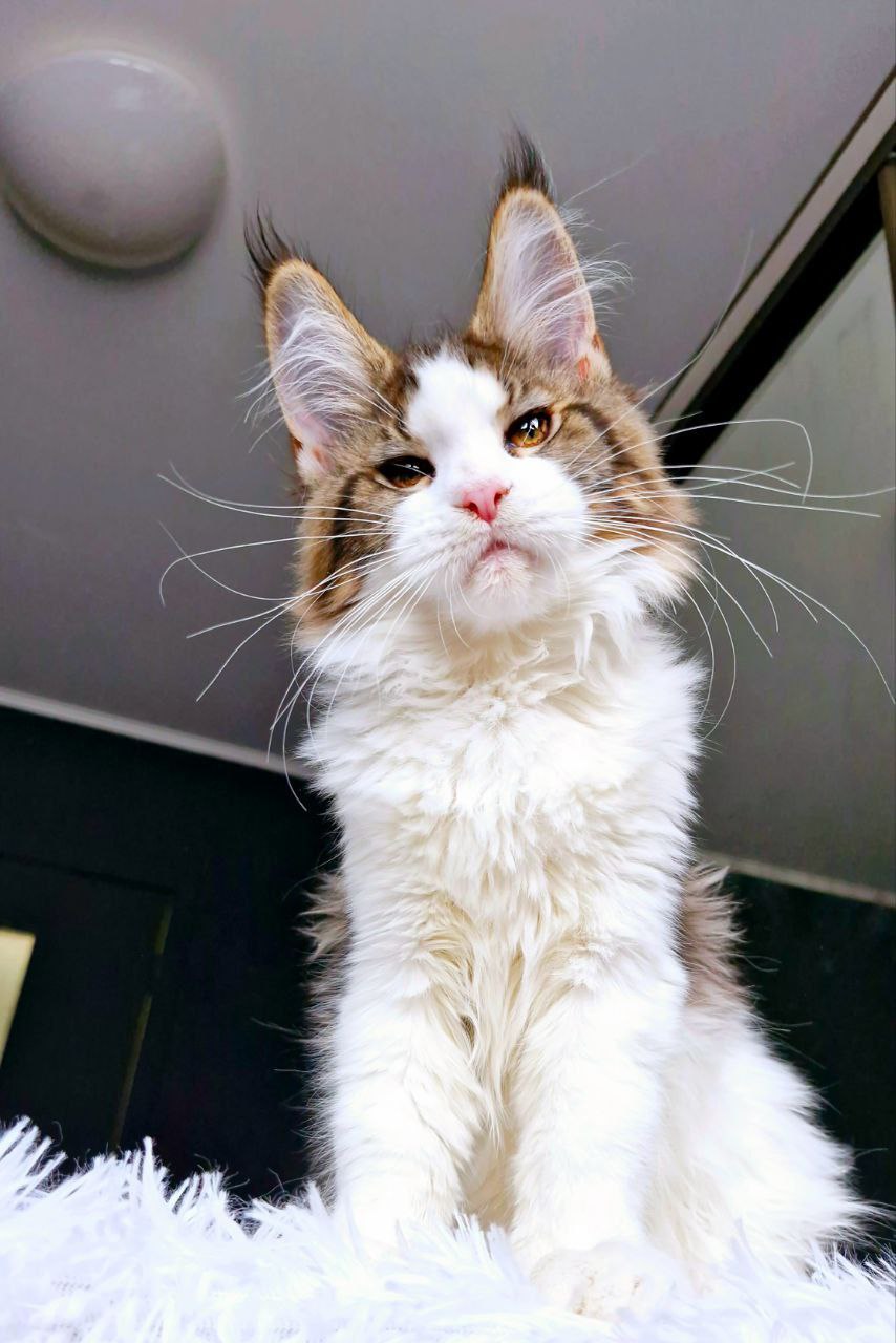 photo_5420504295742237394_y