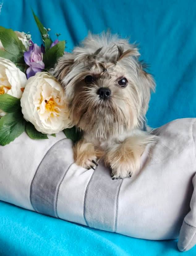 IMG-20250420-WA0017-1