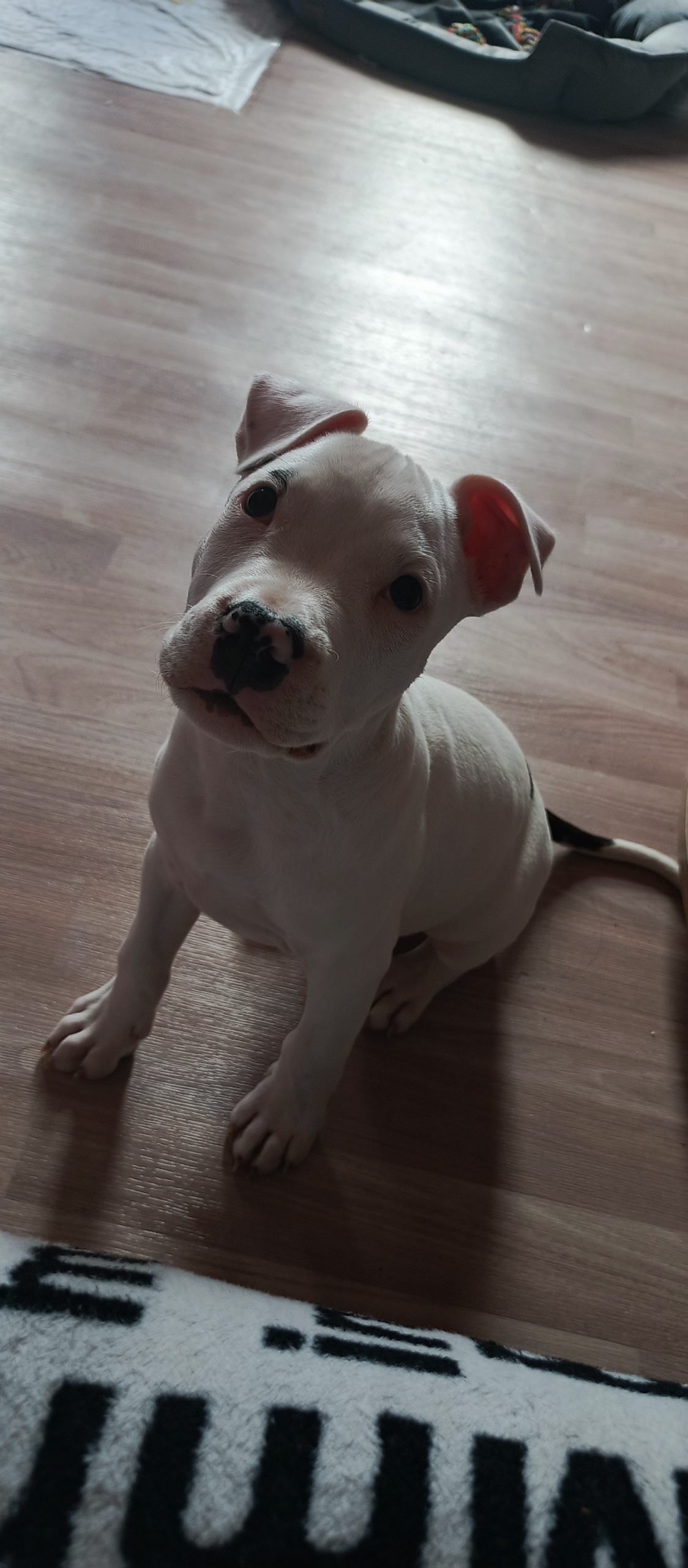 IMG_20250411_172836_956