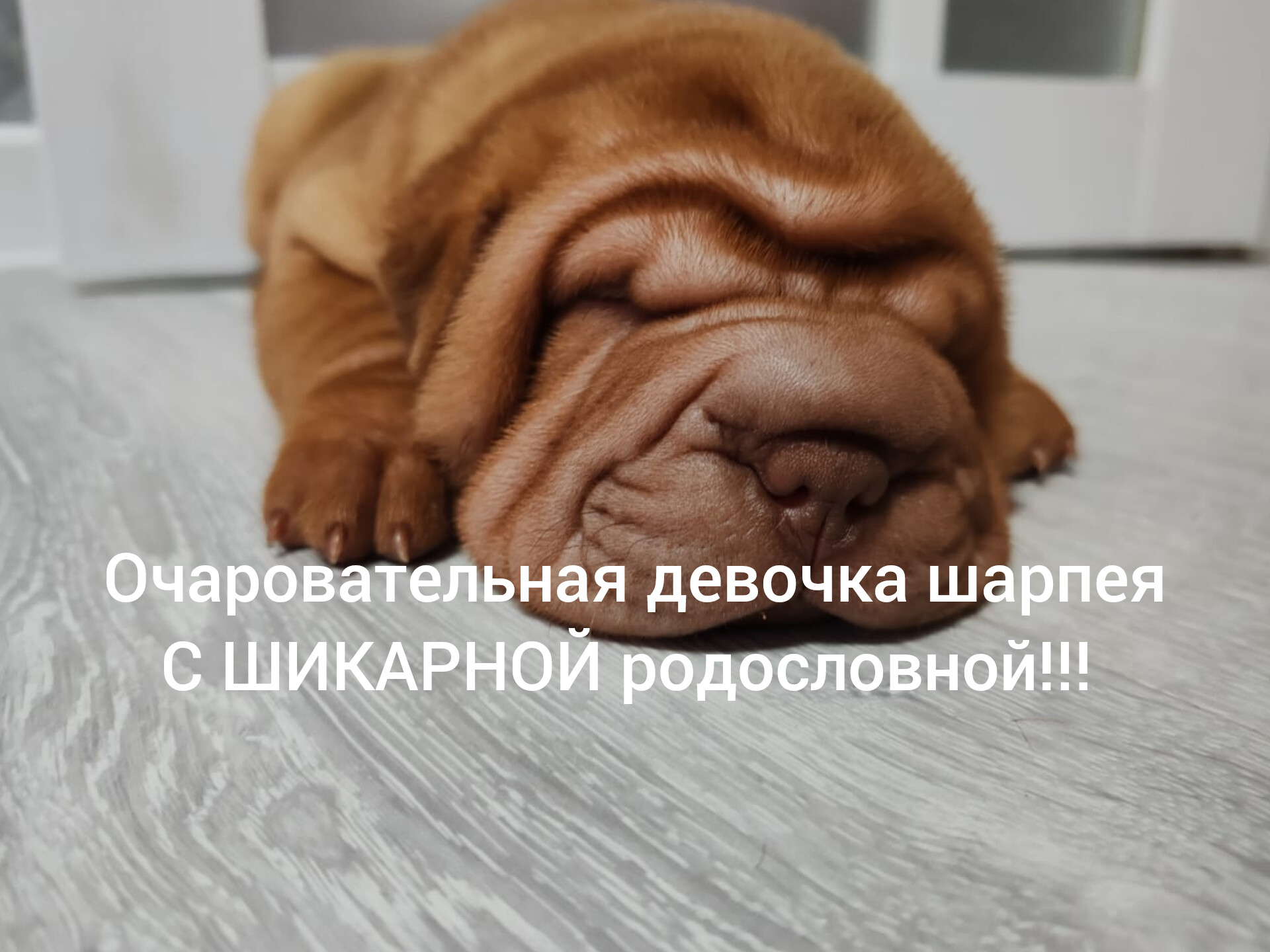 InShot_20250402_112621786