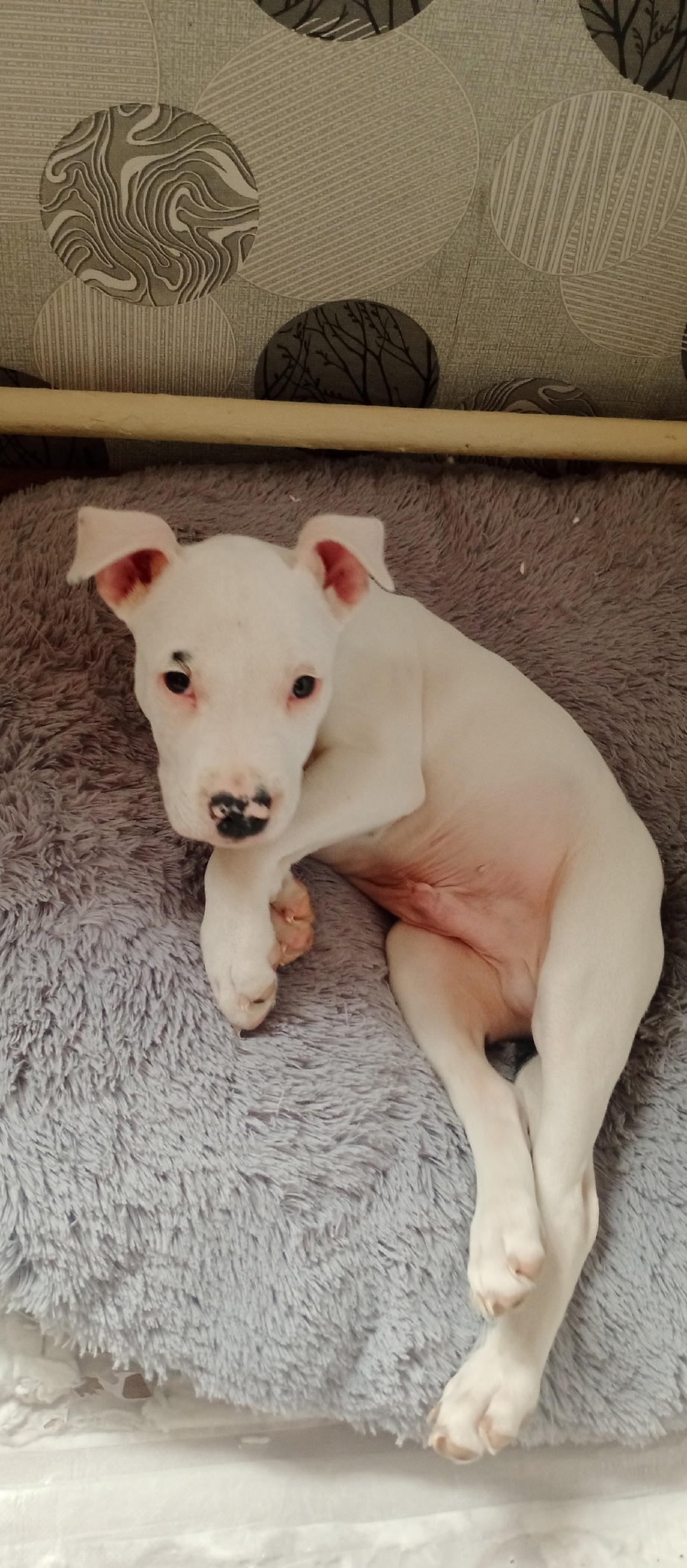 kKZx1fYO8_WDlteBU1mYebRkrUhYx_E3LM9VymFsCcNHKBoSsXxS-X2FN6hyng55IpWLHoKt7jQJIEWSURH-ed7N