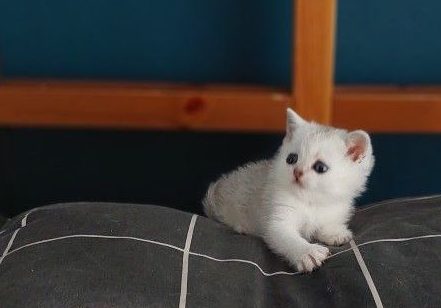 photo_2025-04-11_15-35-51-2