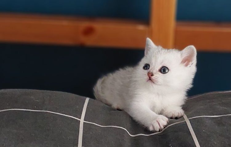 photo_2025-04-11_15-35-51-3