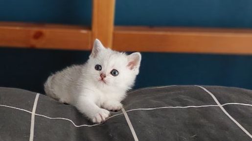 photo_2025-04-11_15-35-51-4