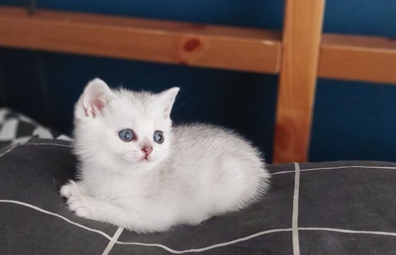 photo_2025-04-11_15-35-51