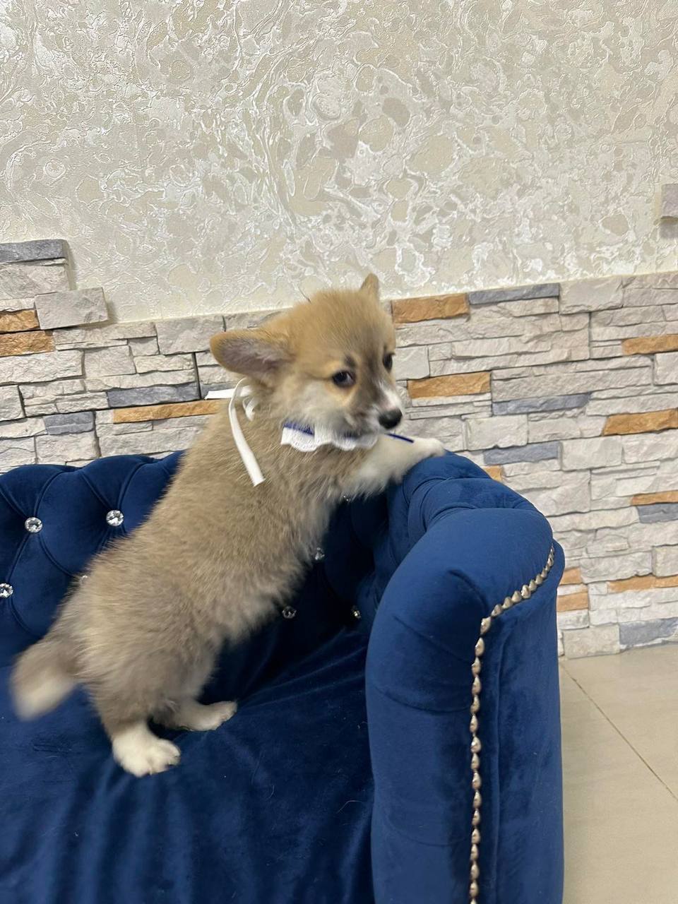 photo_2025-04-16_18-10-01