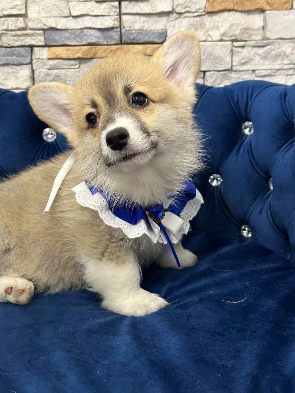 photo_2025-04-16_18-10-02