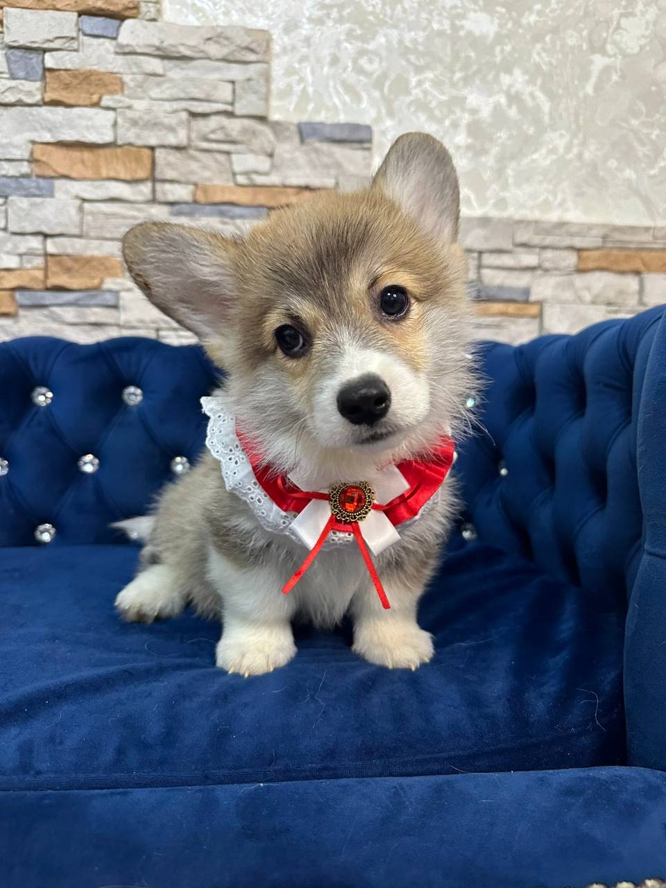 photo_2025-04-16_18-10-03