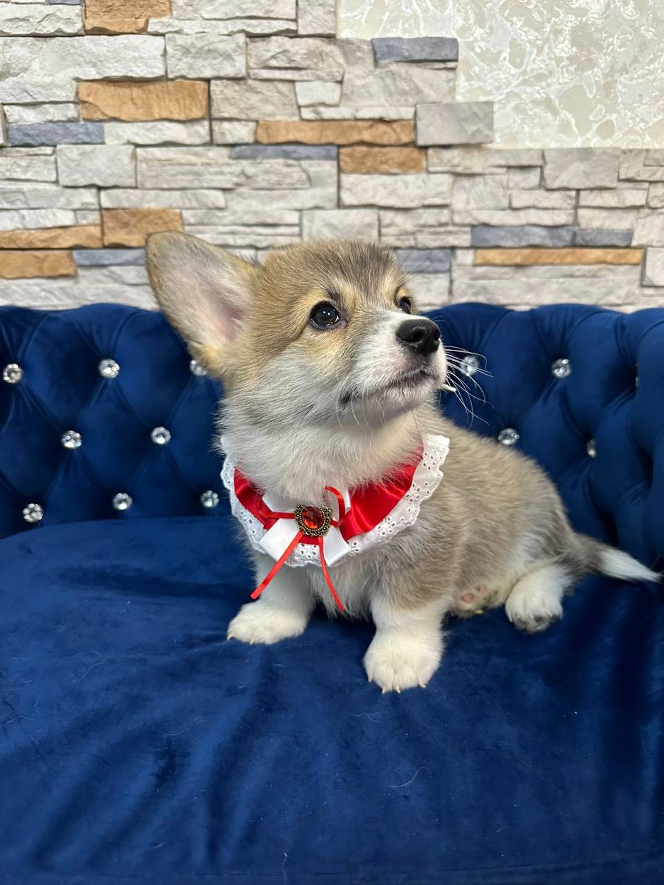 photo_2025-04-16_18-10-04