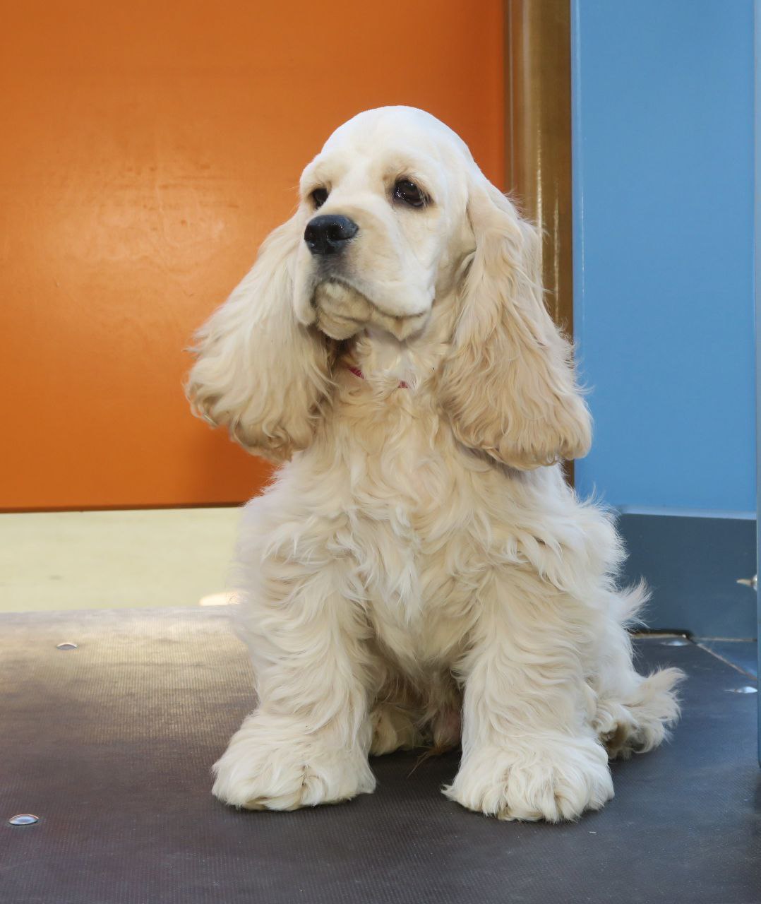 photo_2025-04-17_22-29-31