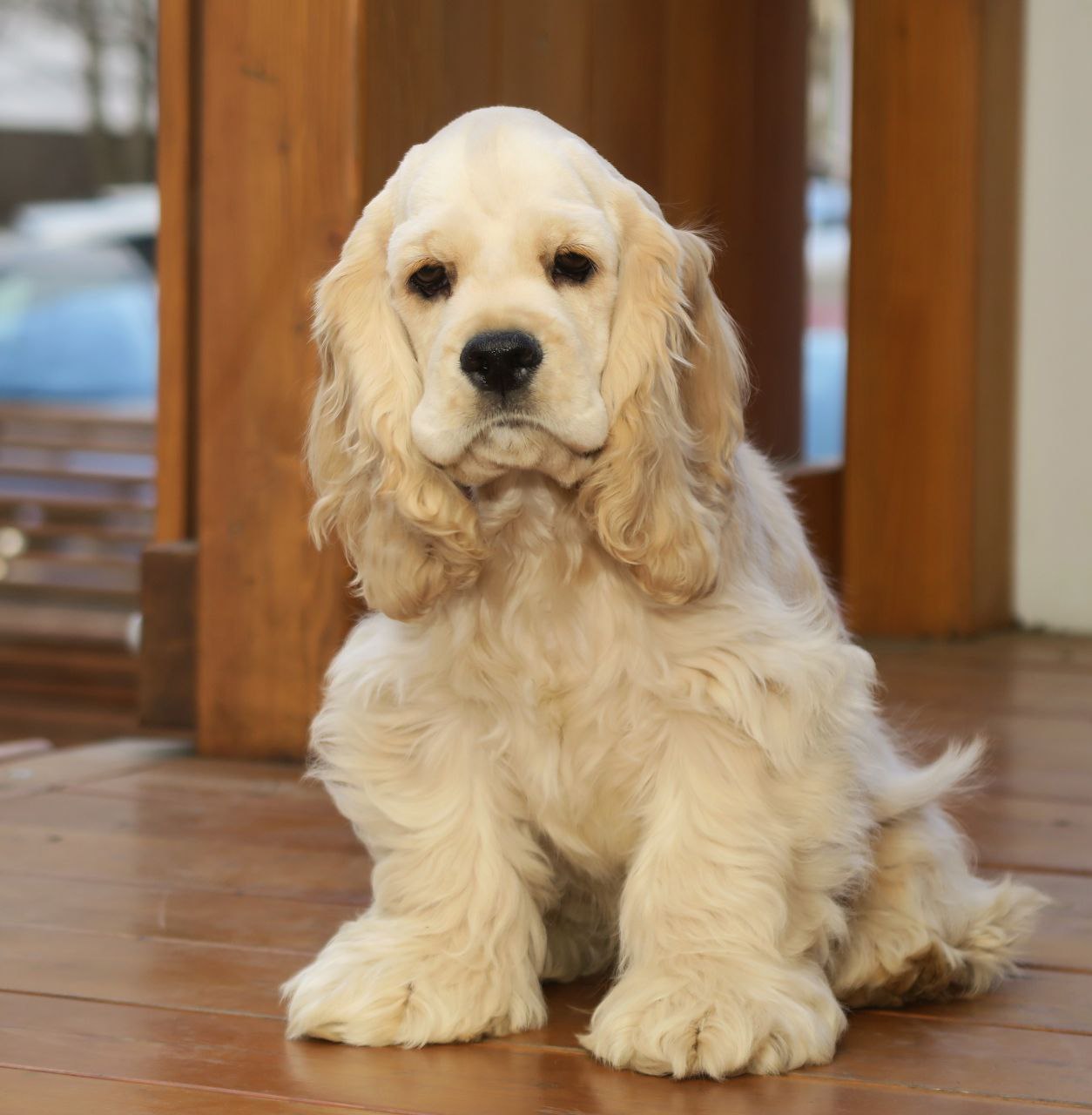 photo_2025-04-17_22-29-48