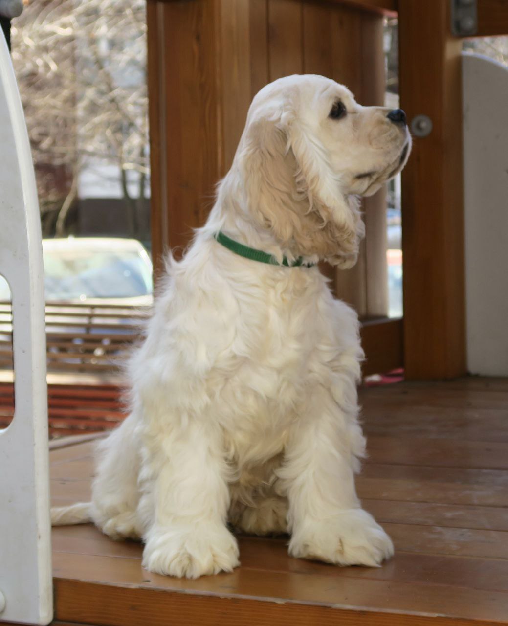 photo_2025-04-17_22-38-23