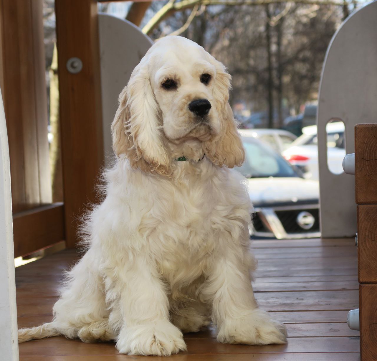 photo_2025-04-17_22-38-35