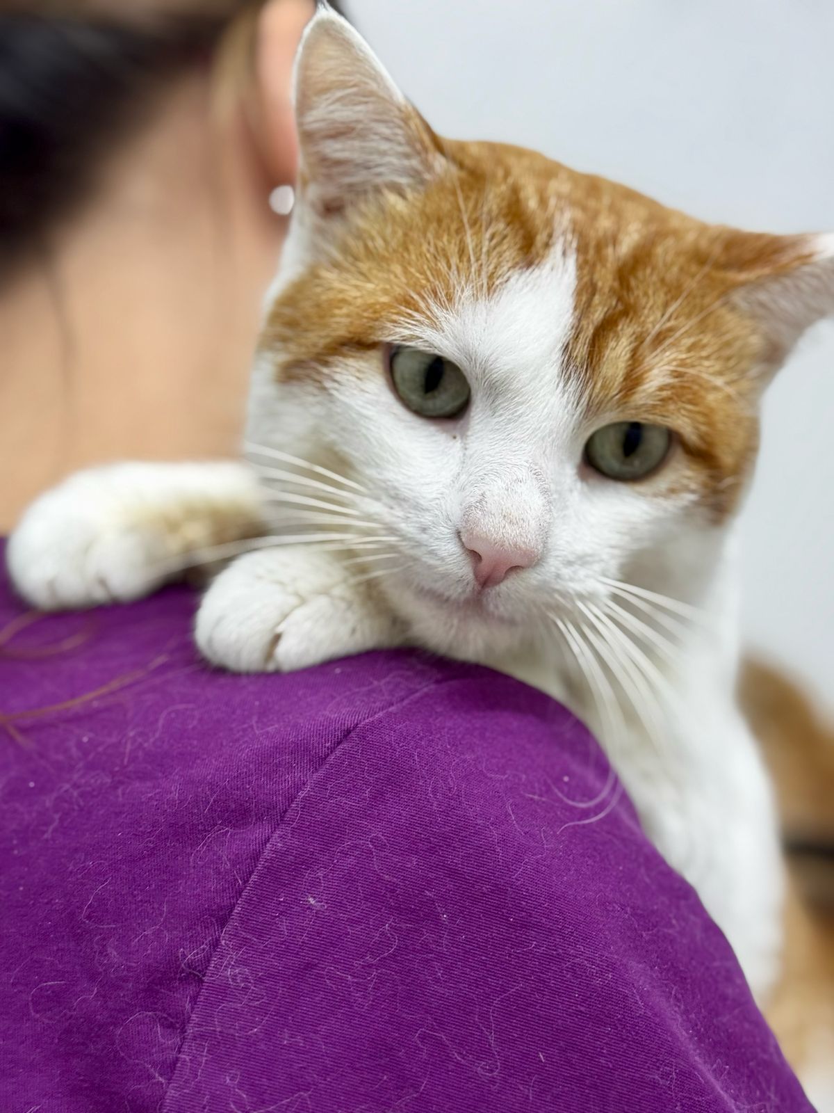 -WhatsApp-2025-04-14-в-16.33.38_41226945