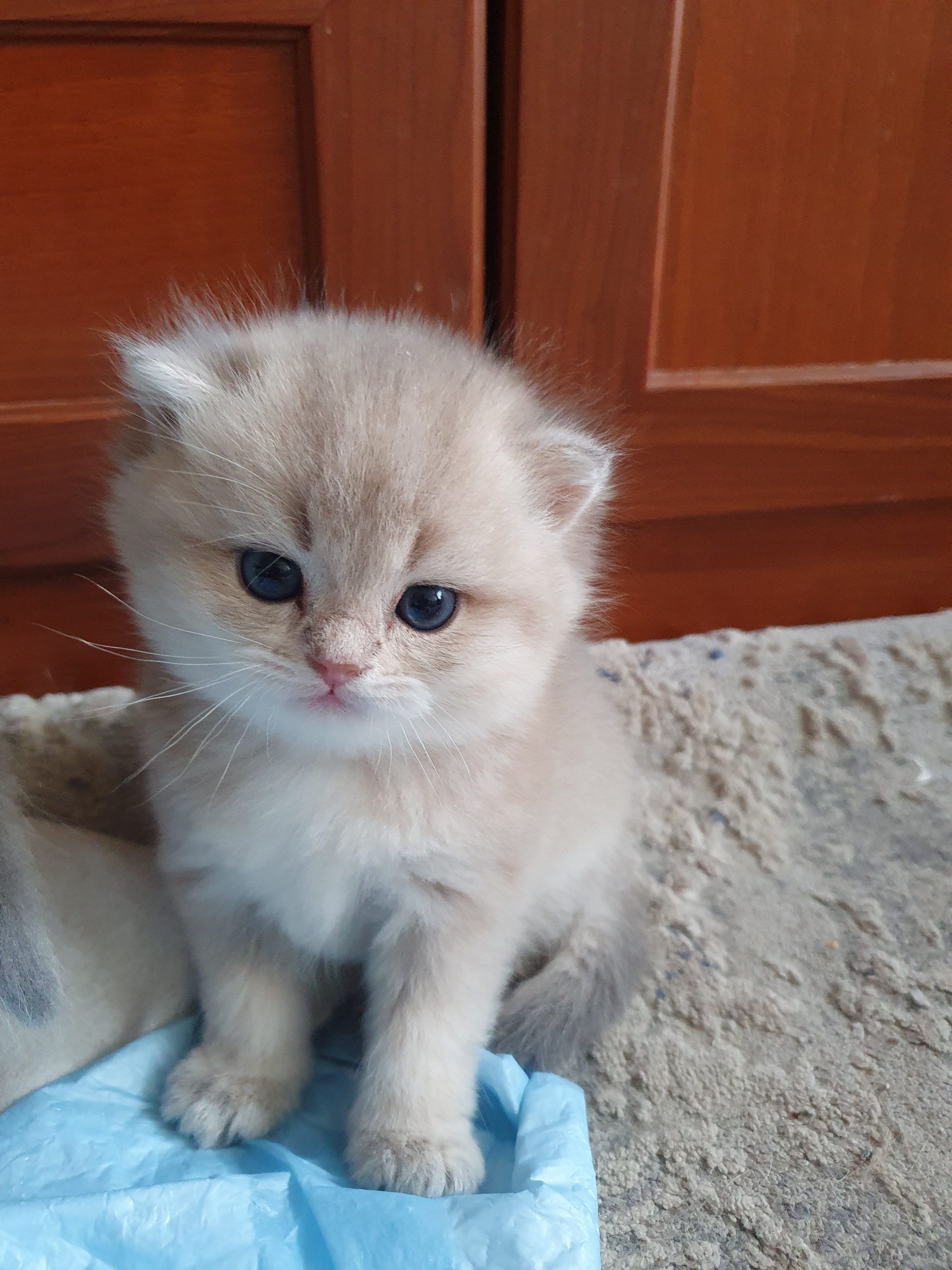 20250413_111332.heic-1