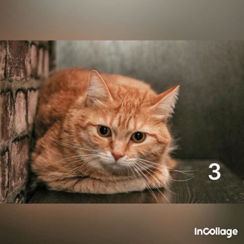 3-8