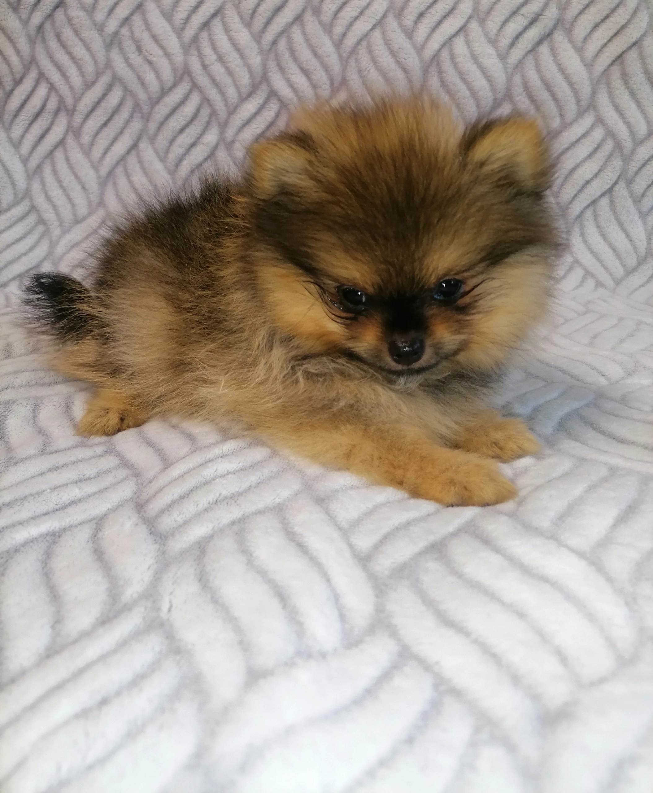 4ggRH5wfpwbukgQ0SfZJsrhZqY9-VbHX7TaNU4GnHnzkcKh_QRMZ0VkjfxSZEr-u-uYdc4qfOimfkgEiZrCynL86