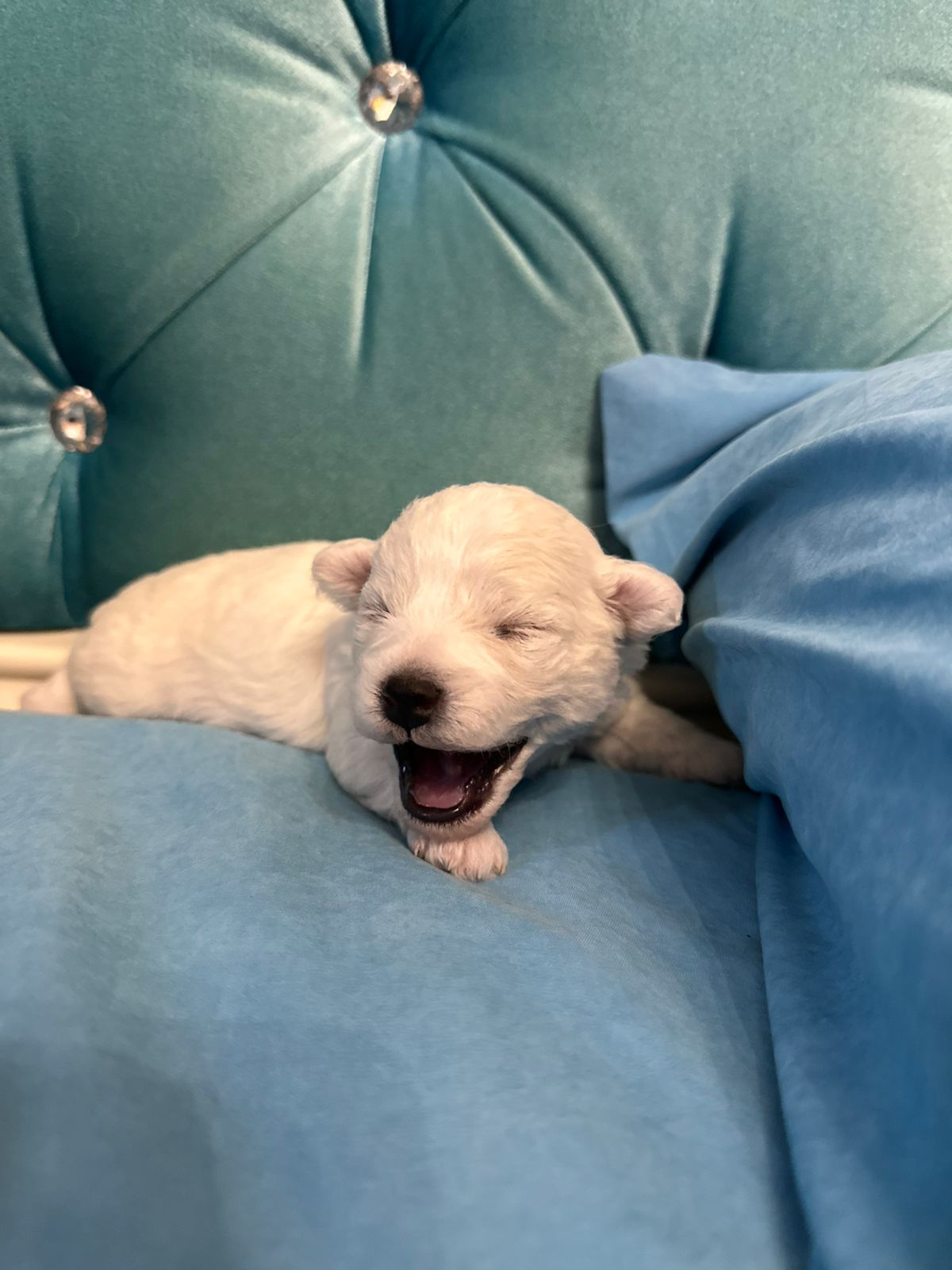 6abee68a-15f8-4f6e-b4f6-14b75f831d24