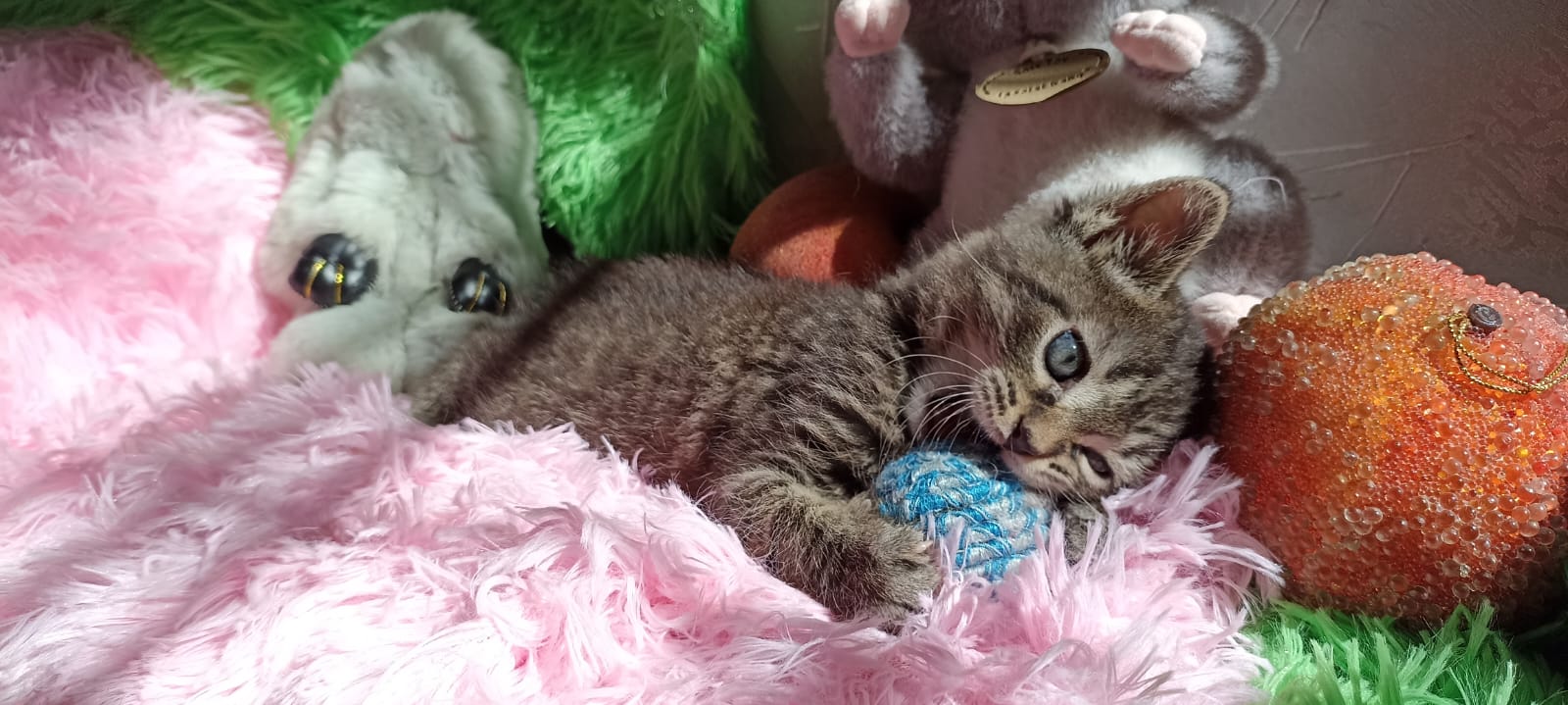 IMG-20250501-WA0043-1